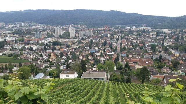 Dorf Dorf