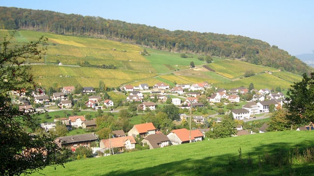 Verschiedene Häuser zwischen Bäumen und Wiesen. Wald im Hintergrund. Verschiedene Häuser zwischen Bäumen und Wiesen. Wald im Hintergrund.