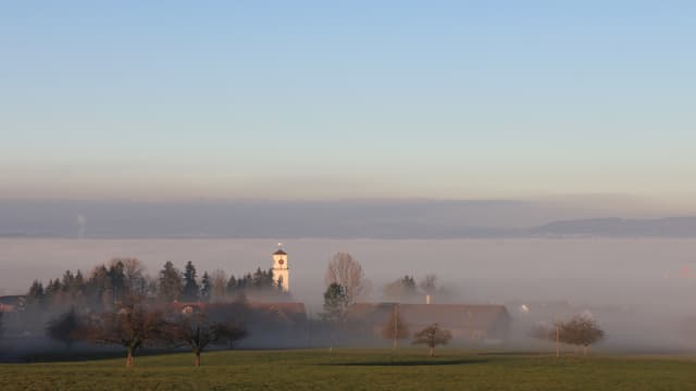 In Güttingen war es zwar auch sonniger als sonst im Dezember, Nebel verhinderte aber einen neuen Rekord. In Güttingen war es zwar auch sonniger als sonst im Dezember, Nebel verhinderte aber einen neuen Rekord.