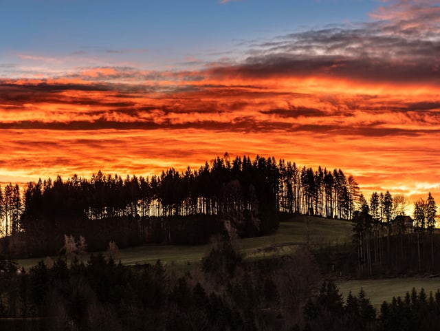 Orange-leuchtender Himmel oberhalb eine Waldkuppe.