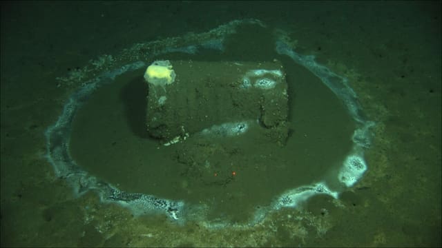 Die Fässer mit dem toxischen Inhalt wurden bereits 2011 an der Küste von Santa Barbara neben Catalina Island entdeckt. Die Fässer mit dem toxischen Inhalt wurden bereits 2011 an der Küste von Santa Barbara neben Catalina Island entdeckt.