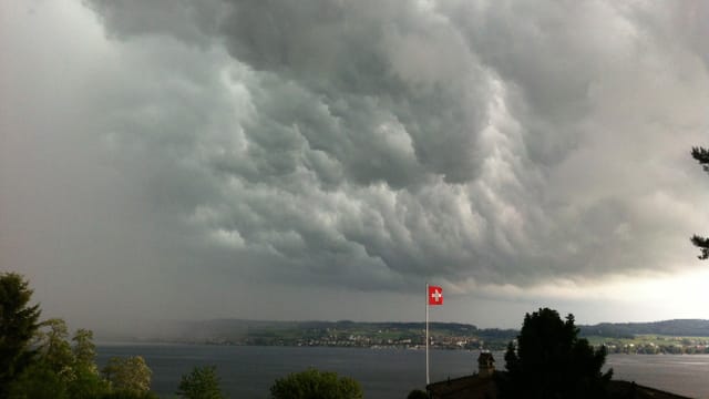 Blick vom Vully auf den Murtensee. Blick vom Vully auf den Murtensee.