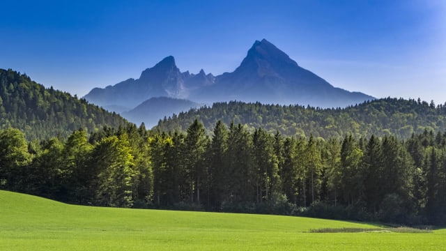 Zwei Bergspitzen, davor ein grosser Nadelwald und eine grüne Wiese. Blauer Himmel. Zwei Bergspitzen, davor ein grosser Nadelwald und eine grüne Wiese. Blauer Himmel.