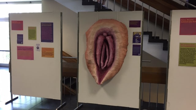 selbstgebastelte Vulva von Kantonsschülerinnen in Wetzikon selbstgebastelte Vulva von Kantonsschülerinnen in Wetzikon