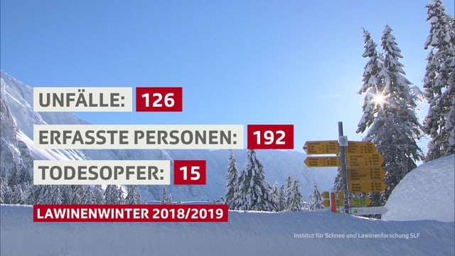 Daten zum Lawinenwinter 2018/2019 Daten zum Lawinenwinter 2018/2019