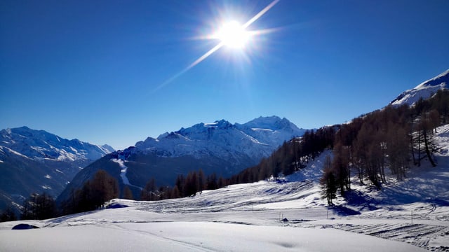 Am Sonntag war es im Wallis nur wolkenlos, und so gab es den perfekten Blick von der Moosalp Richtung Mischabelgruppe. Am Sonntag war es im Wallis nur wolkenlos, und so gab es den perfekten Blick von der Moosalp Richtung Mischabelgruppe.