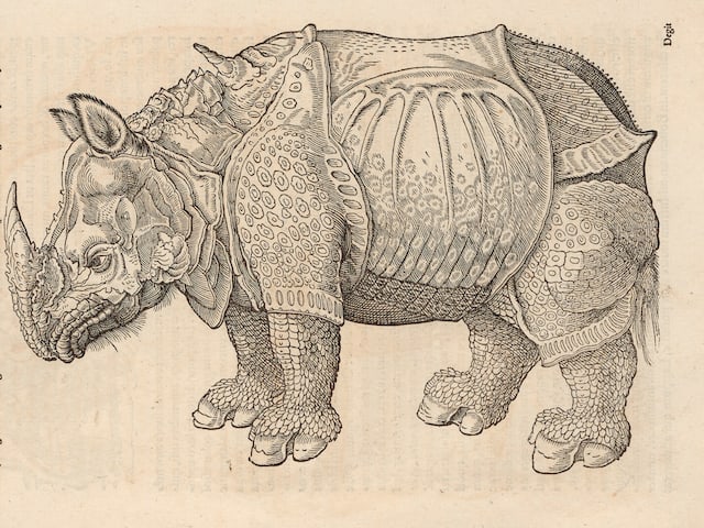 Zeichnerische Darstellung eines Rhinozeros in einem Werk von Conrad Gessner. Zeichnerische Darstellung eines Rhinozeros in einem Werk von Conrad Gessner.