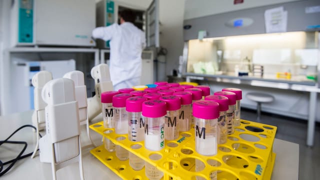 Forschung in der Medizin. Forschung in der Medizin.