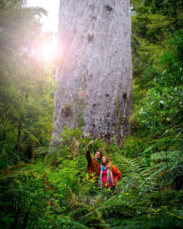 Ein Mann und eine Frau machen ein Selfie vor einem grossen Baum. Ein Mann und eine Frau machen ein Selfie vor einem grossen Baum.