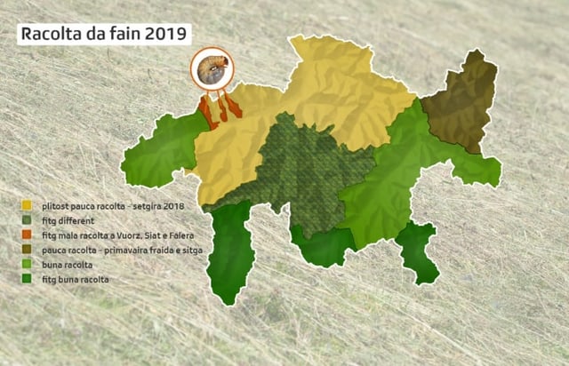 Grafica che mussa la racolta da fain tenor regiun Grafica che mussa la racolta da fain tenor regiun