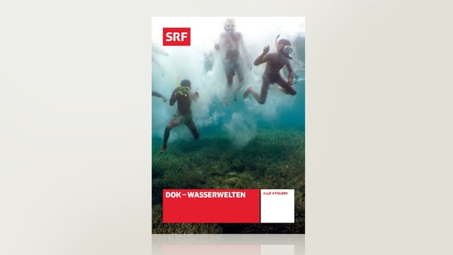 Wasserwelten Wasserwelten