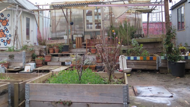 Garten auf dem Gelände des Zirkus Knopf Garten auf dem Gelände des Zirkus Knopf