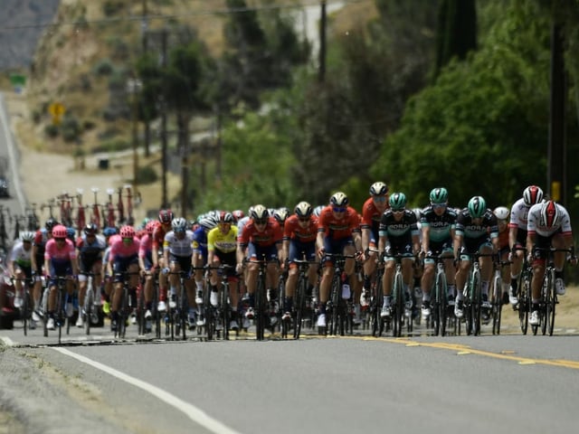 Das Feld an der Kalifornien-Rundfahrt 2019. Das Feld an der Kalifornien-Rundfahrt 2019.