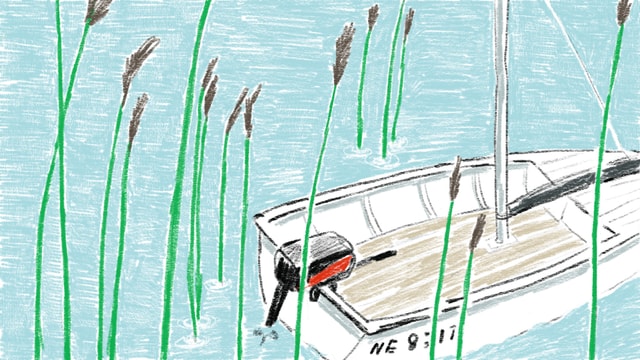 Zeichnung von einem Boot im Schilf. Zeichnung von einem Boot im Schilf.