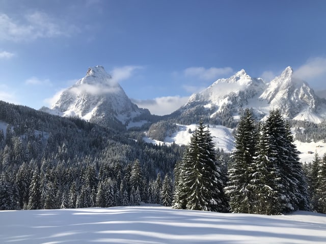 Winterwunderland, alles ist verschneit und schön