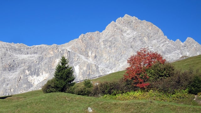 Piz Mitgel Piz Mitgel