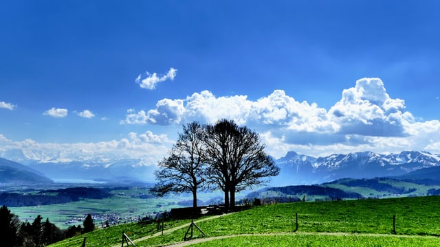 Blick von der Bütschelegg Richtung Alpen wo sich Quellwolken bilden. Blick von der Bütschelegg Richtung Alpen wo sich Quellwolken bilden.