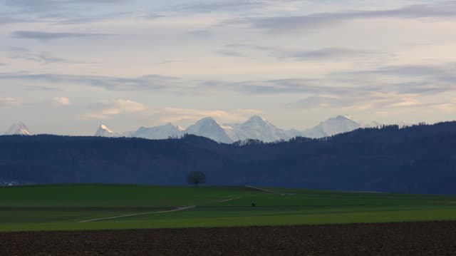 Am 13. Dezember präsentierte sich die Gegend um Jegenstorf noch grasgrün. Am 13. Dezember präsentierte sich die Gegend um Jegenstorf noch grasgrün.