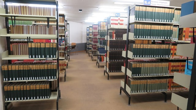 Bücherregal Bücherregal