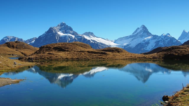 Blauer Bachalpsee mit wolkenlosem Himmel Blauer Bachalpsee mit wolkenlosem Himmel