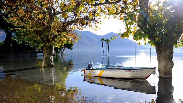 Nach enormen Niederschlägen trat Mitte November der Lago Maggiore über die Ufer. Nach enormen Niederschlägen trat Mitte November der Lago Maggiore über die Ufer.