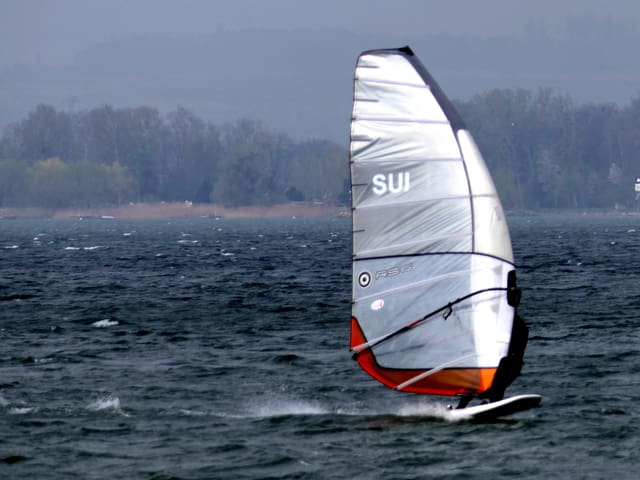 Ein Windsurfer auf dem See.