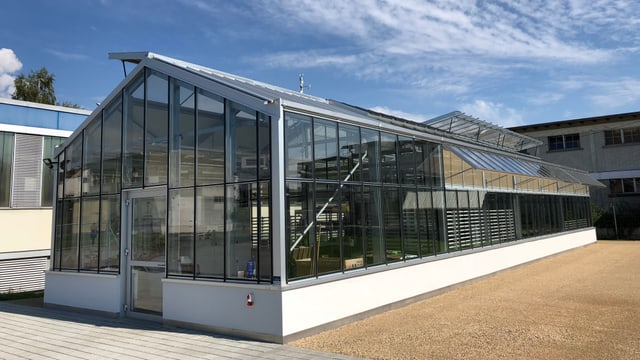 Gewächshaus Gewächshaus