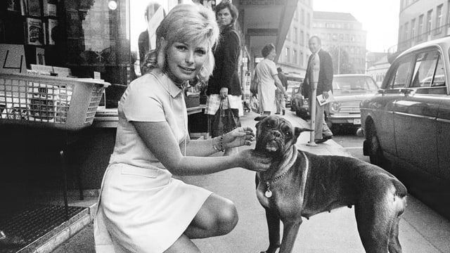 Vivi knieht sich hin um den Boxer-Hund am Hals zu kraulen. Vivi knieht sich hin um den Boxer-Hund am Hals zu kraulen.