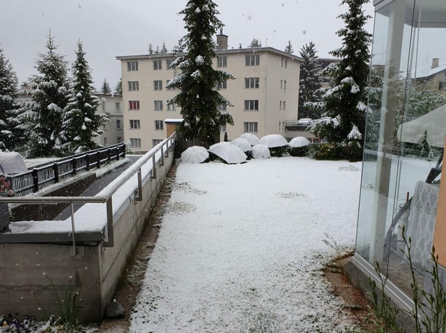 Schnee auf einer Wiese.