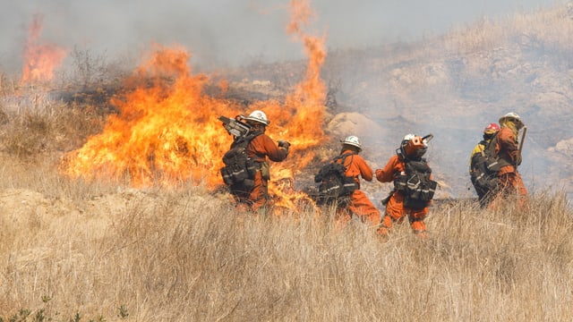 Auf trockener Unterlage: Feuerwehrmänner im Einsatz. Auf trockener Unterlage: Feuerwehrmänner im Einsatz.