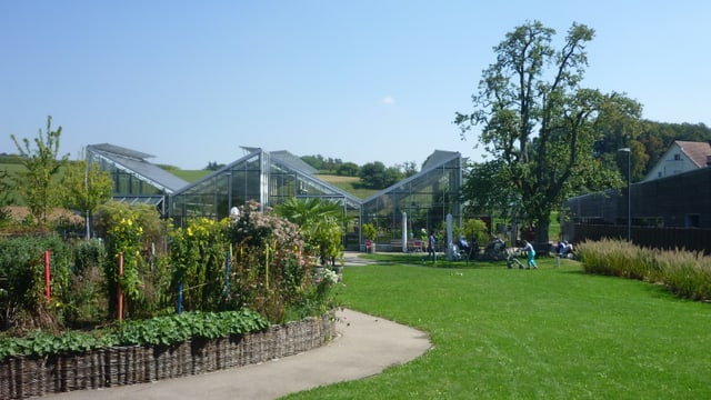 Ein Park mit einem Weg zwischen einer grünen Wiese und einem Blumenbeet. Ein Park mit einem Weg zwischen einer grünen Wiese und einem Blumenbeet.