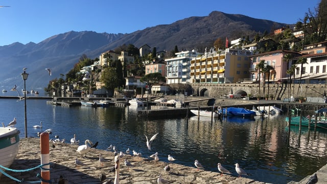 Die Uferpromenade von Ascona vor einem wolkenlosen Himmel. Die Uferpromenade von Ascona vor einem wolkenlosen Himmel.
