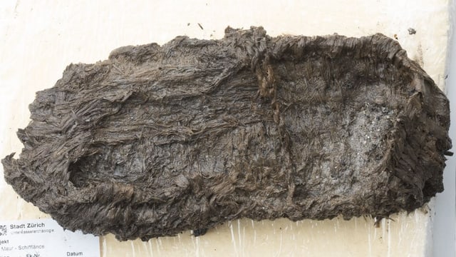 Ein Bastschuh. Dieser wirkt glitschig, der Schuh wird durch eine Kordel am Fuss gehalten. Ein Bastschuh. Dieser wirkt glitschig, der Schuh wird durch eine Kordel am Fuss gehalten.