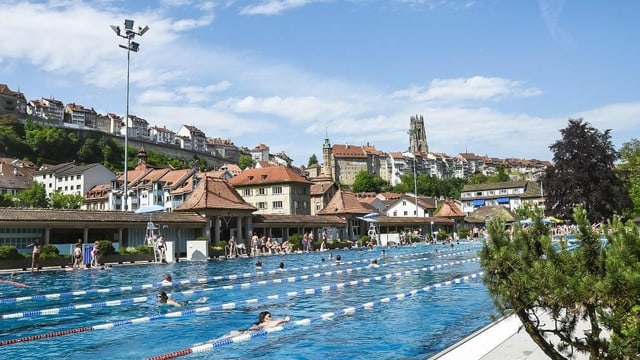 Schwimmbecken, dahinter die Altstadt von Freiburg Schwimmbecken, dahinter die Altstadt von Freiburg