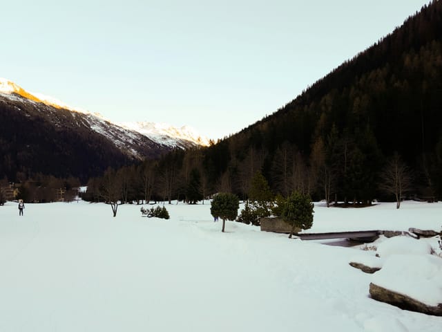 Ein Langlaufloipe, blauer Himmel.