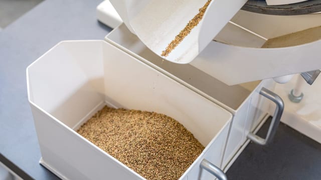 Eine Maschine ist zu sehen, in einem Behälter darunter befinden sich die gereinigten Samenkörner. Eine Maschine ist zu sehen, in einem Behälter darunter befinden sich die gereinigten Samenkörner.