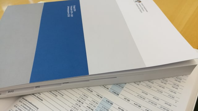 Il maletg mussa il rapport da passa 300 paginas. Il maletg mussa il rapport da passa 300 paginas.