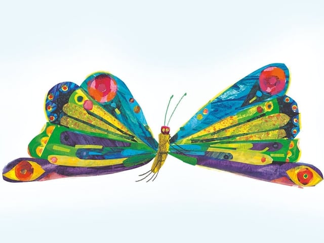 Ein Schmetterling mit bunten Flügeln.