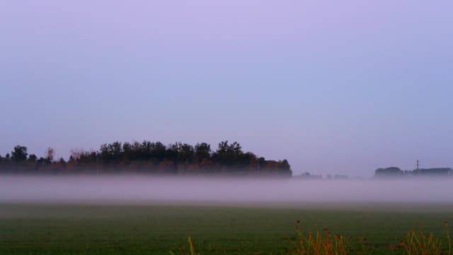 Bodennebel bei Salavaux/VD. Bodennebel bei Salavaux/VD.