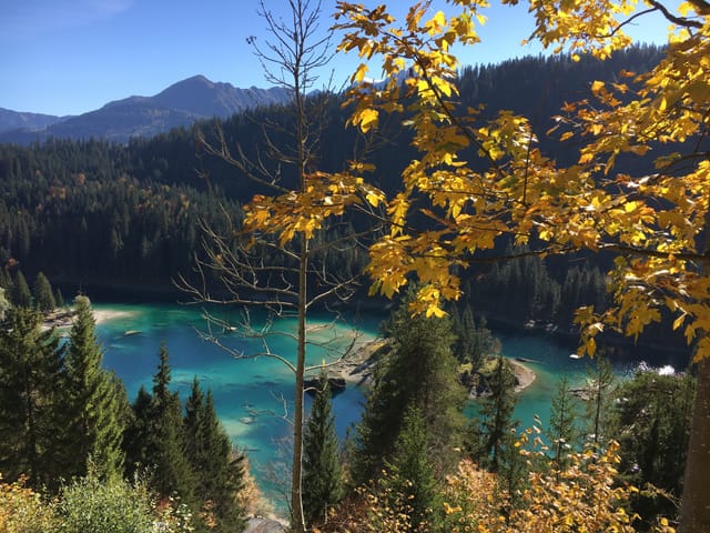 See, Nadelwald, gelbes Herbstlaub