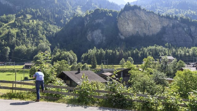 Felsen mit Wald Felsen mit Wald