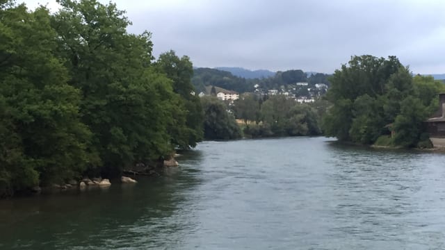 Flusslandschaft Flusslandschaft