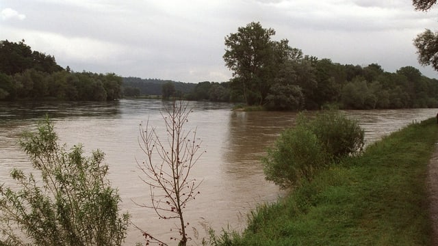 Rhein (links) und Thur (rechts) aufgenommen im 2000 am Thurspitz. Rhein (links) und Thur (rechts) aufgenommen im 2000 am Thurspitz.