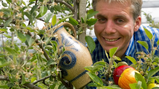 Reto Scherrer in einer Apfelbaumplantage. Reto Scherrer in einer Apfelbaumplantage.