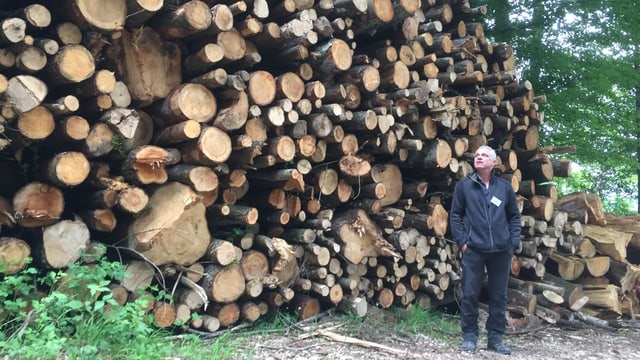 Mann vor hoher Holzbeige. Mann vor hoher Holzbeige.