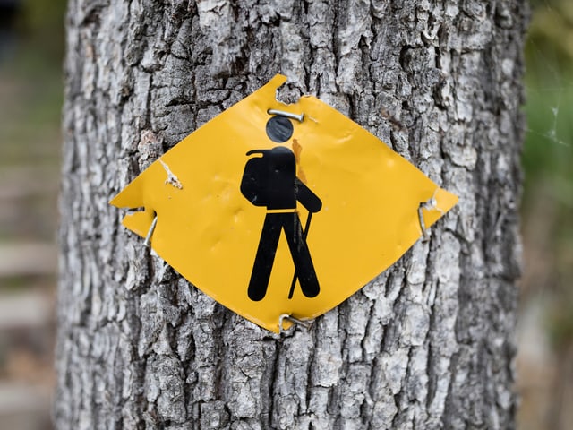 Wandererschild auf Baum Wandererschild auf Baum