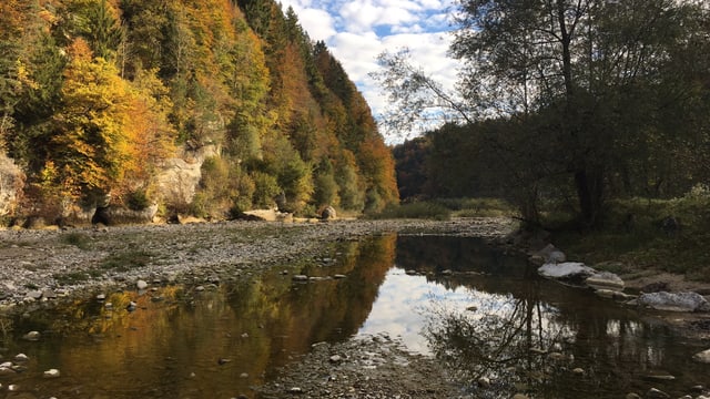 Die Sense mit Wald im Herbst. Die Sense mit Wald im Herbst.