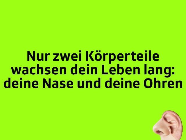 Texttafel: Nur zwei Körperteile wachsen dein Leben lang