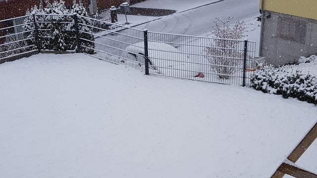 Verschneiter Garten in Waldstatt. Verschneiter Garten in Waldstatt.
