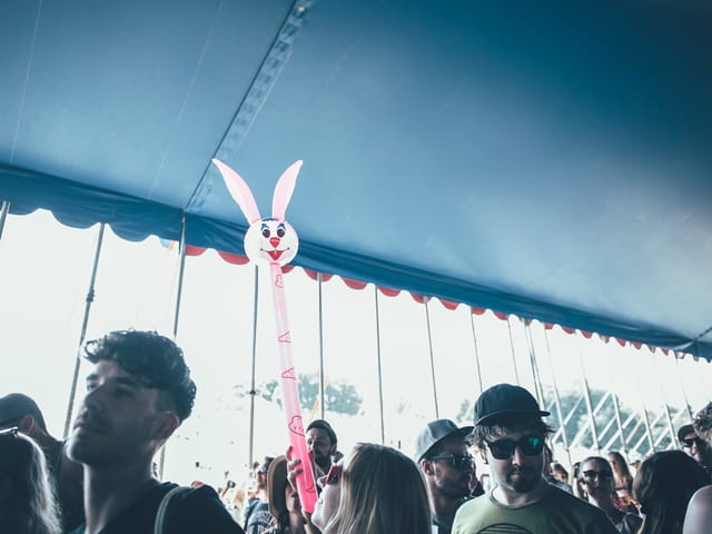 Ein Hase kommt selten allein.